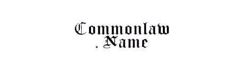 another name for common law union family